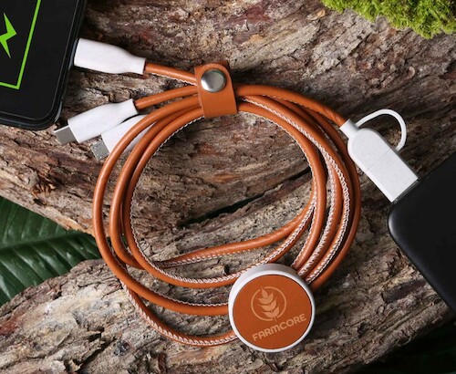 TerraTone 3-In-1 Charging Cable