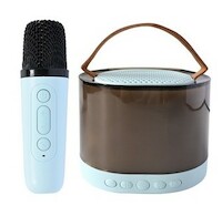 Speaker With Microphone